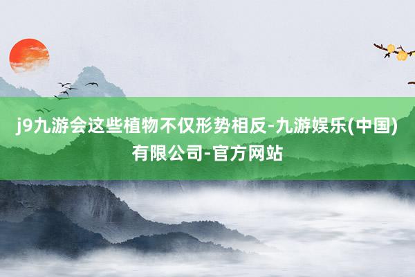 j9九游会这些植物不仅形势相反-九游娱乐(中国)有限公司-官方网站