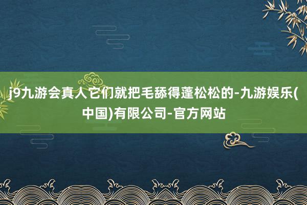 j9九游会真人它们就把毛舔得蓬松松的-九游娱乐(中国)有限公司-官方网站