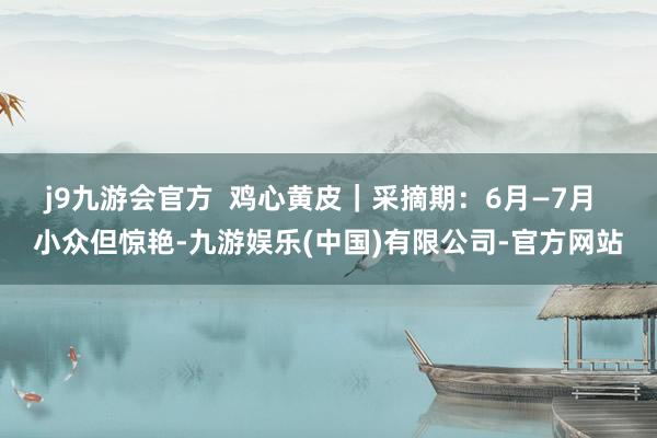 j9九游会官方  鸡心黄皮｜采摘期：6月—7月  小众但惊艳-九游娱乐(中国)有限公司-官方网站