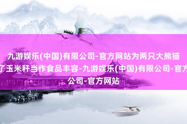 九游娱乐(中国)有限公司-官方网站为两只大熊猫提供了玉米秆当作食品丰容-九游娱乐(中国)有限公司-官方网站