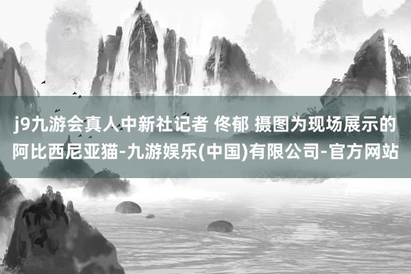 j9九游会真人中新社记者 佟郁 摄图为现场展示的阿比西尼亚猫-九游娱乐(中国)有限公司-官方网站