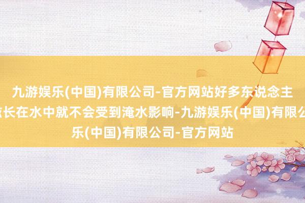 九游娱乐(中国)有限公司-官方网站好多东说念主误觉得水莲滋长在水中就不会受到淹水影响-九游娱乐(中国)有限公司-官方网站