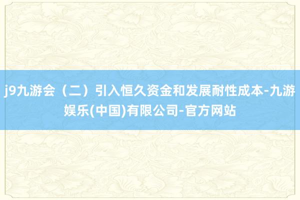 j9九游会(二)引入恒久资金和发展耐性成本-九游娱乐(中国)有限公司-官方网站